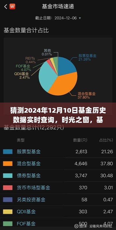 时光之窗，探索基金历史数据实时查询的奇幻之旅（预测至2024年12月10日）