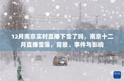 南京十二月雪落直播，背景、事件与影响