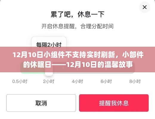 小组件休眠日，12月10日的温馨故事与实时刷新挑战