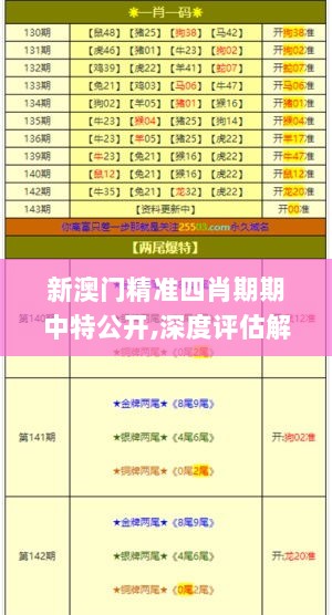 新澳门精准四肖期期中特公开,深度评估解析说明_钱包版2.768