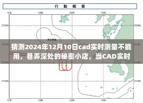 巷弄深处的秘密小店，CAD实时测量遭遇未知故障的挑战，预测与应对2024年12月10日的问题。