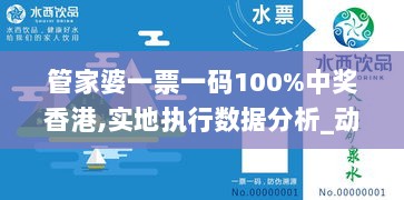 管家婆一票一码100%中奖香港,实地执行数据分析_动态版6.545