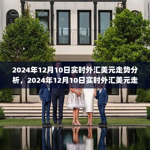 实时外汇美元走势分析步骤指南，深度解析2024年12月10日市场动向