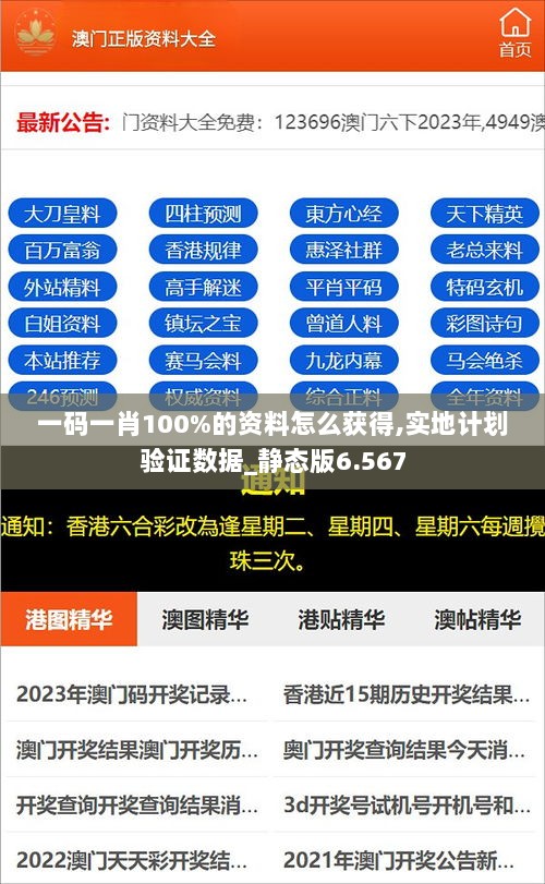 一码一肖100%的资料怎么获得,实地计划验证数据_静态版6.567