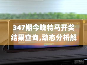 347期今晚特马开奖结果查询,动态分析解释定义_领航版4.304