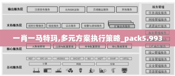 一肖一马特玛,多元方案执行策略_pack5.993