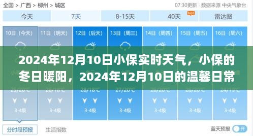 小保冬日暖阳，2024年12月10日实时天气与温馨日常