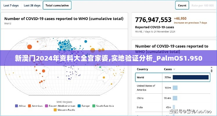 新澳门2024年资料大全宫家婆,实地验证分析_PalmOS1.950