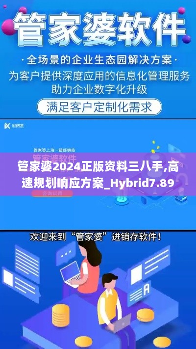 管家婆2024正版资料三八手,高速规划响应方案_Hybrid7.897