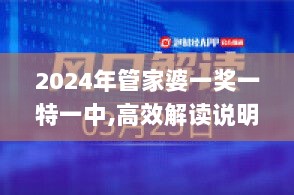 2024年管家婆一奖一特一中,高效解读说明_开发版15.750