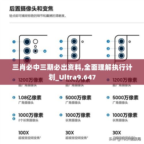 三肖必中三期必出资料,全面理解执行计划_Ultra9.647