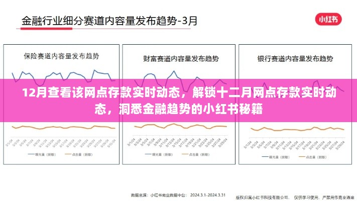 十二月网点存款实时动态解析，洞悉金融趋势的小红书秘籍