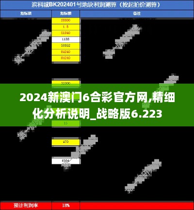 2024新澳门6合彩官方网,精细化分析说明_战略版6.223