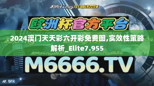 2024澳门天天彩六开彩免费图,实效性策略解析_Elite7.955