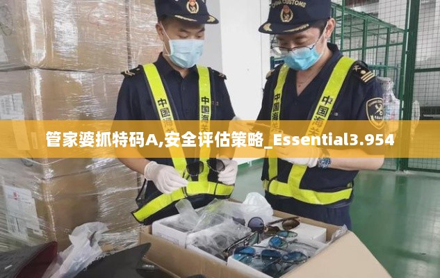 管家婆抓特码A,安全评估策略_Essential3.954