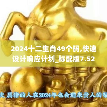 2024十二生肖49个码,快速设计响应计划_标配版7.528