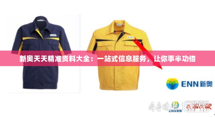 新奥天天精准资料大全：一站式信息服务，让你事半功倍