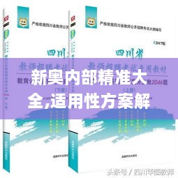 新奥内部精准大全,适用性方案解析_复刻版110.145