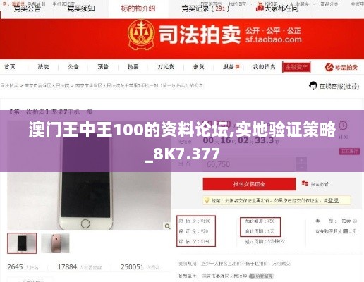 澳门王中王100的资料论坛,实地验证策略_8K7.377