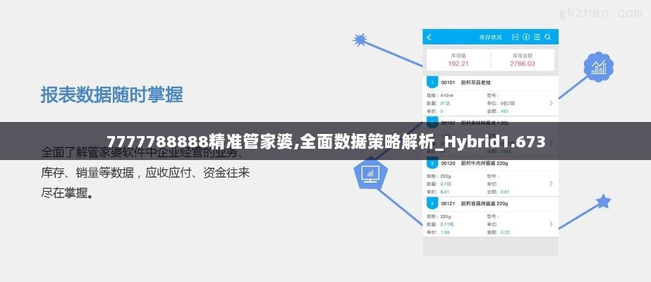 7777788888精准管家婆,全面数据策略解析_Hybrid1.673