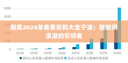 新奥2024年免费资料大全宁波：新知识浪潮的引领者