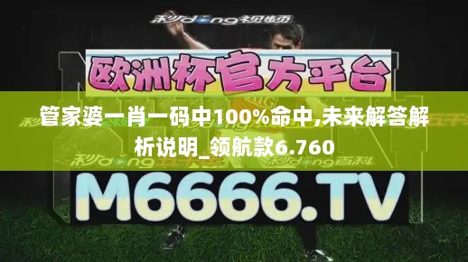 管家婆一肖一码中100%命中,未来解答解析说明_领航款6.760