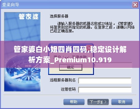 管家婆白小姐四肖四码,稳定设计解析方案_Premium10.919