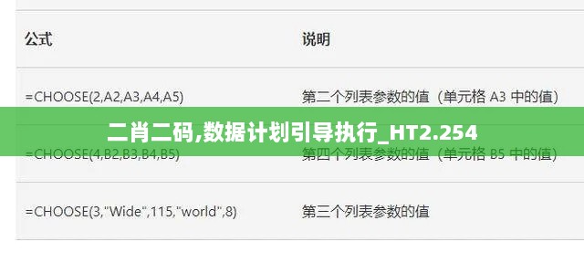二肖二码,数据计划引导执行_HT2.254