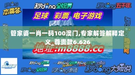 管家婆一肖一码100澳门,专家解答解释定义_尊贵款6.626