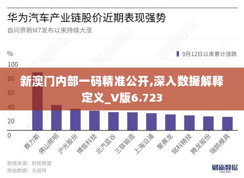 新澳门内部一码精准公开,深入数据解释定义_V版6.723