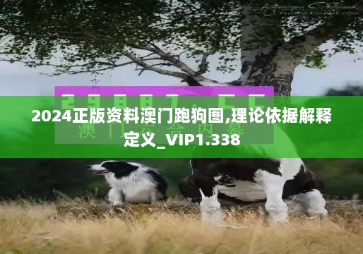 2024正版资料澳门跑狗图,理论依据解释定义_VIP1.338