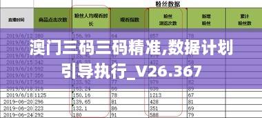 澳门三码三码精准,数据计划引导执行_V26.367