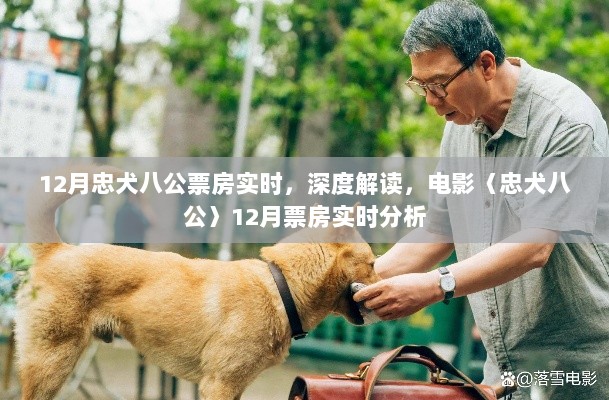 忠犬八公电影深度解读，12月票房实时分析与预测报告