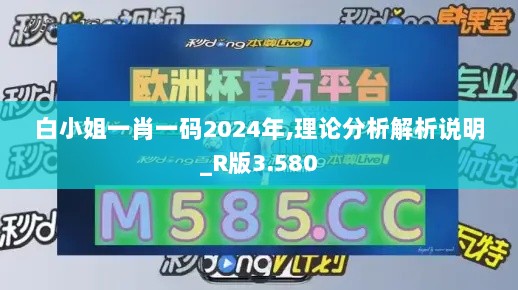 白小姐一肖一码2024年,理论分析解析说明_R版3.580