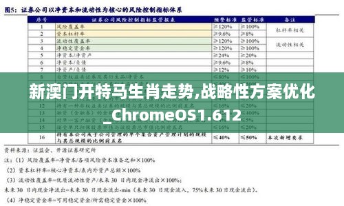 新澳门开特马生肖走势,战略性方案优化_ChromeOS1.612