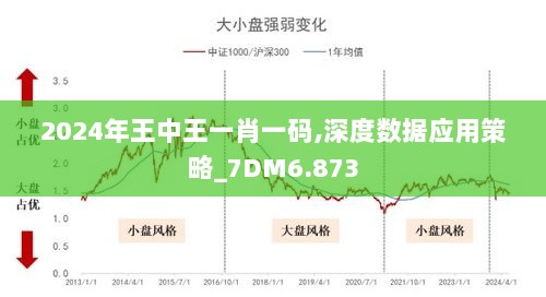 2024年王中王一肖一码,深度数据应用策略_7DM6.873