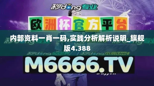 内部资料一肖一码,实践分析解析说明_旗舰版4.388