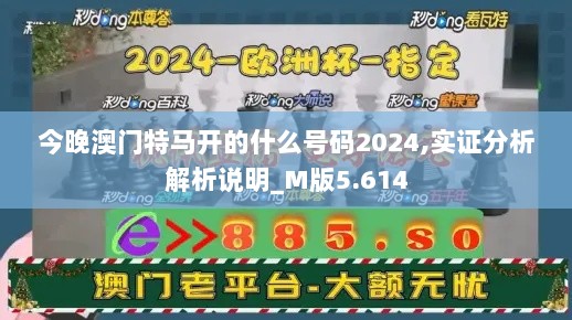 今晚澳门特马开的什么号码2024,实证分析解析说明_M版5.614