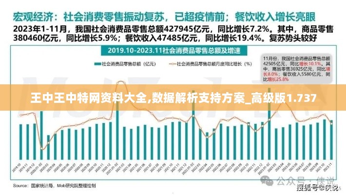 王中王中特网资料大全,数据解析支持方案_高级版1.737