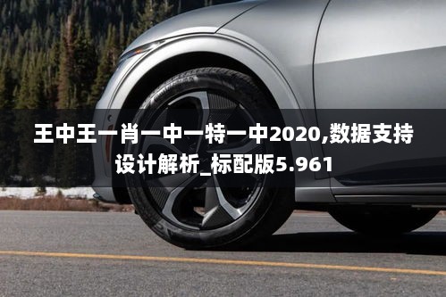 王中王一肖一中一特一中2020,数据支持设计解析_标配版5.961