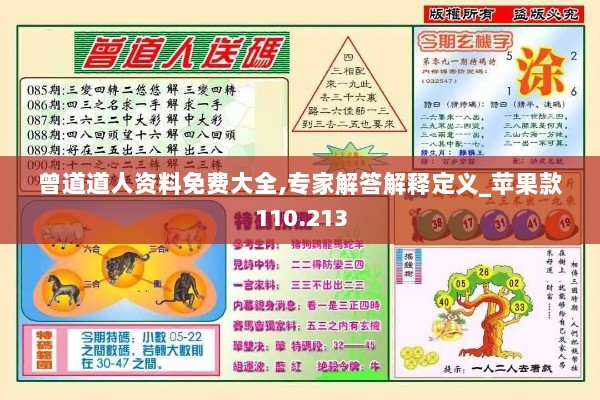 曾道道人资料免费大全,专家解答解释定义_苹果款110.213