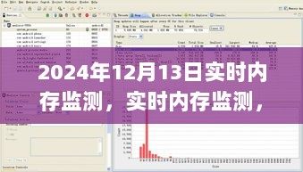 深度解析，掌握未来内存监测技术，洞悉一切——实时内存监测技术在2024年的应用展望与深度解读