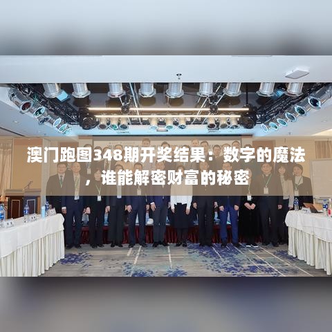 澳门跑图348期开奖结果：数字的魔法，谁能解密财富的秘密