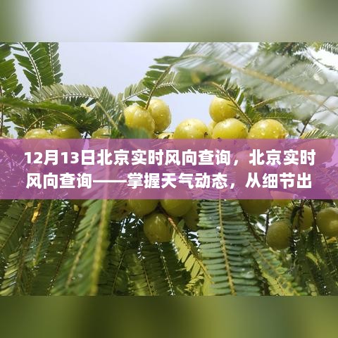 北京实时风向查询，掌握天气动态，关注细节变化