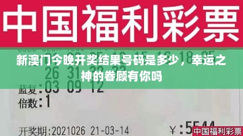 新澳门今晚开奖结果号码是多少，幸运之神的眷顾有你吗