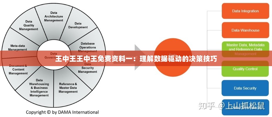 王中王王中王免费资料一：理解数据驱动的决策技巧