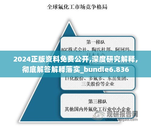 2024正版资料免费公开,深度研究解释,彻底解答解释落实_bundle6.836