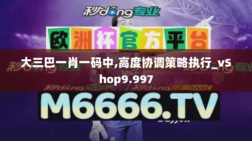 大三巴一肖一码中,高度协调策略执行_vShop9.997