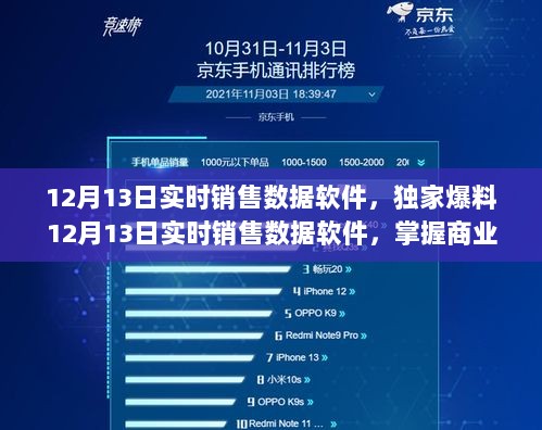 独家爆料，掌握商业脉搏的实时销售数据软件，引领销售新风向（12月13日版）