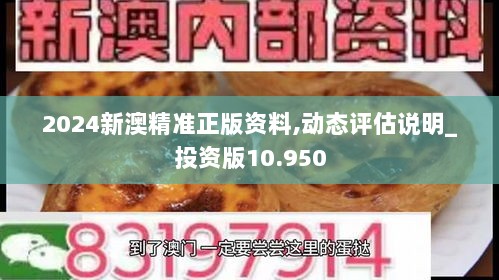 2024新澳精准正版资料,动态评估说明_投资版10.950